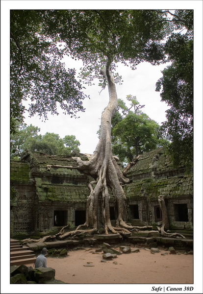 2006 - 07 - Temple angkor - Ta Prohm 09